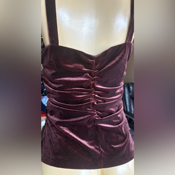 Elegant Velvet Ruched top - Picture 11 of 14